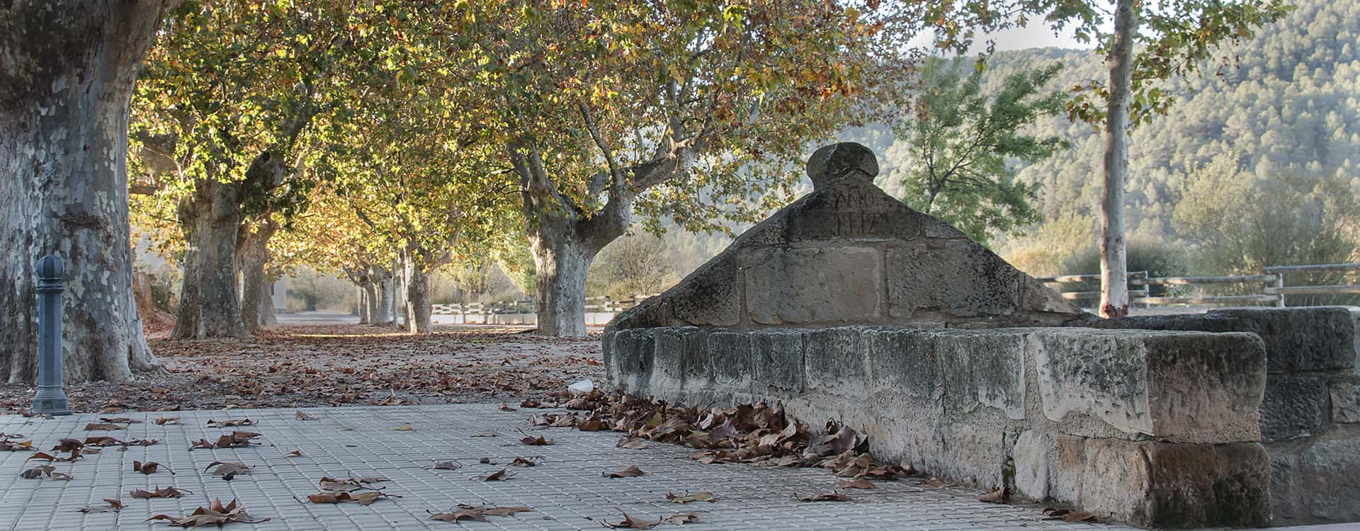 Caseres3-ampla-nou